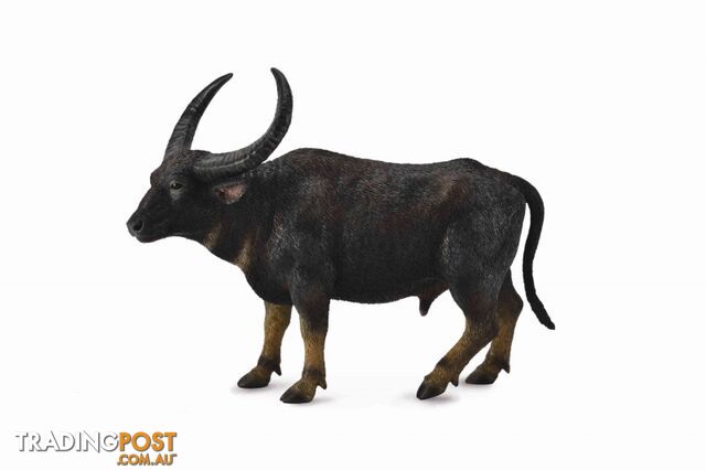 CollectA Wild Water Buffalo Large Animal Figurine - Rpco88657 - 4892900886572