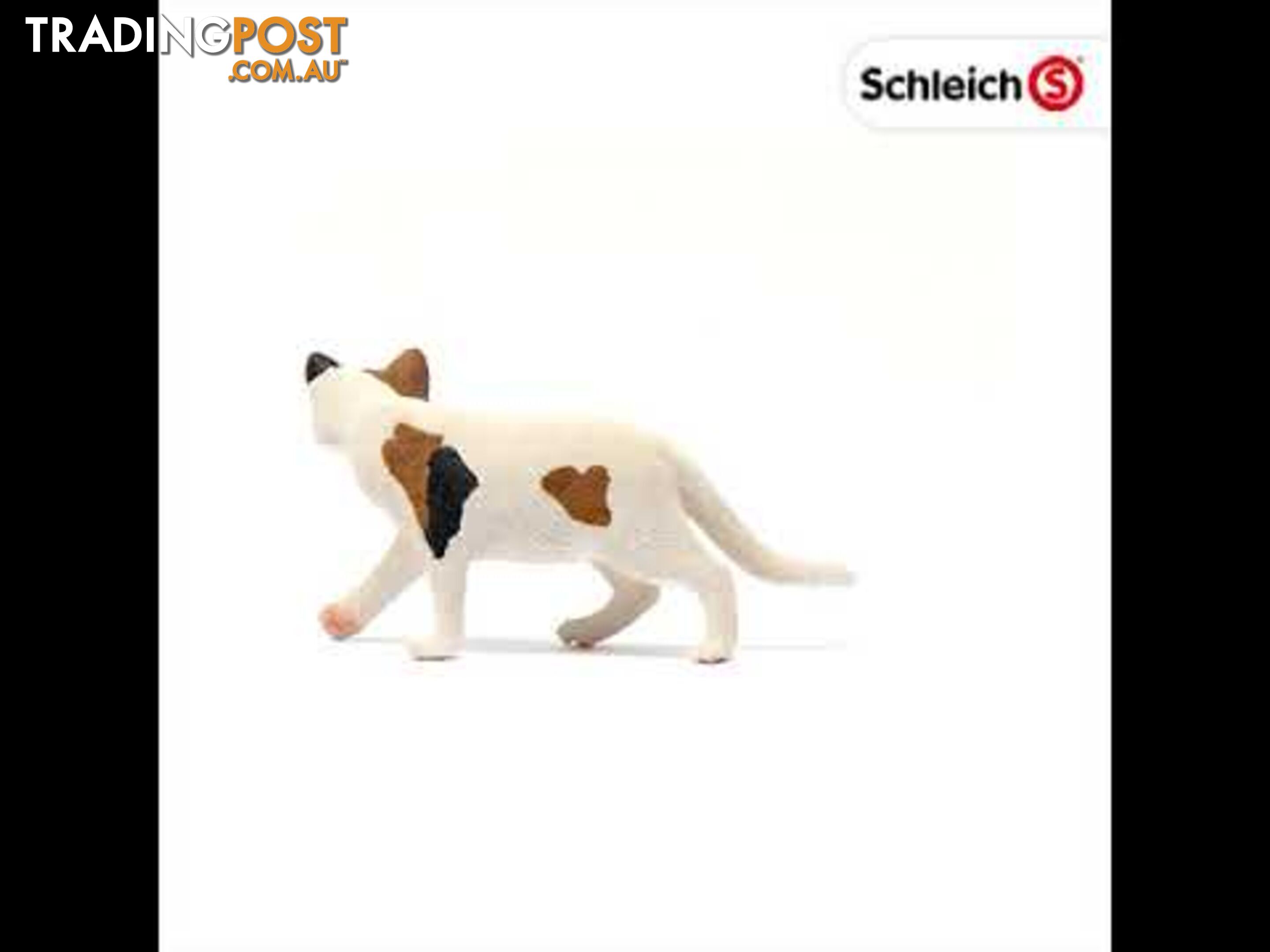 Schleich - American Shorthair Cat Sc13894 - 4059433012902