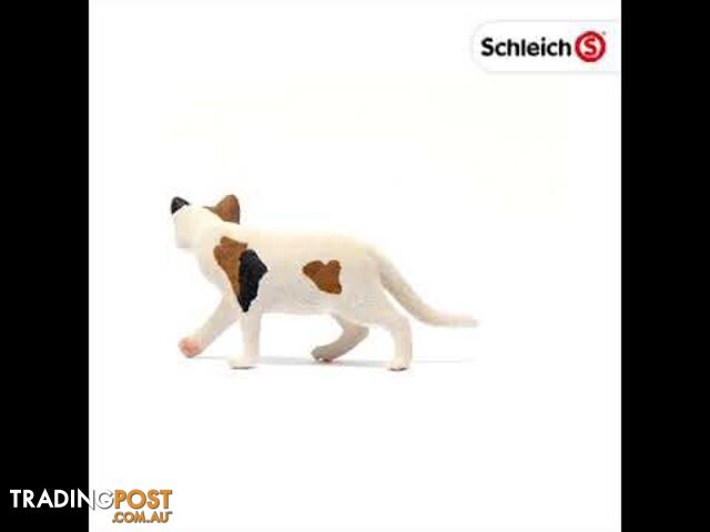 Schleich - American Shorthair Cat Sc13894 - 4059433012902