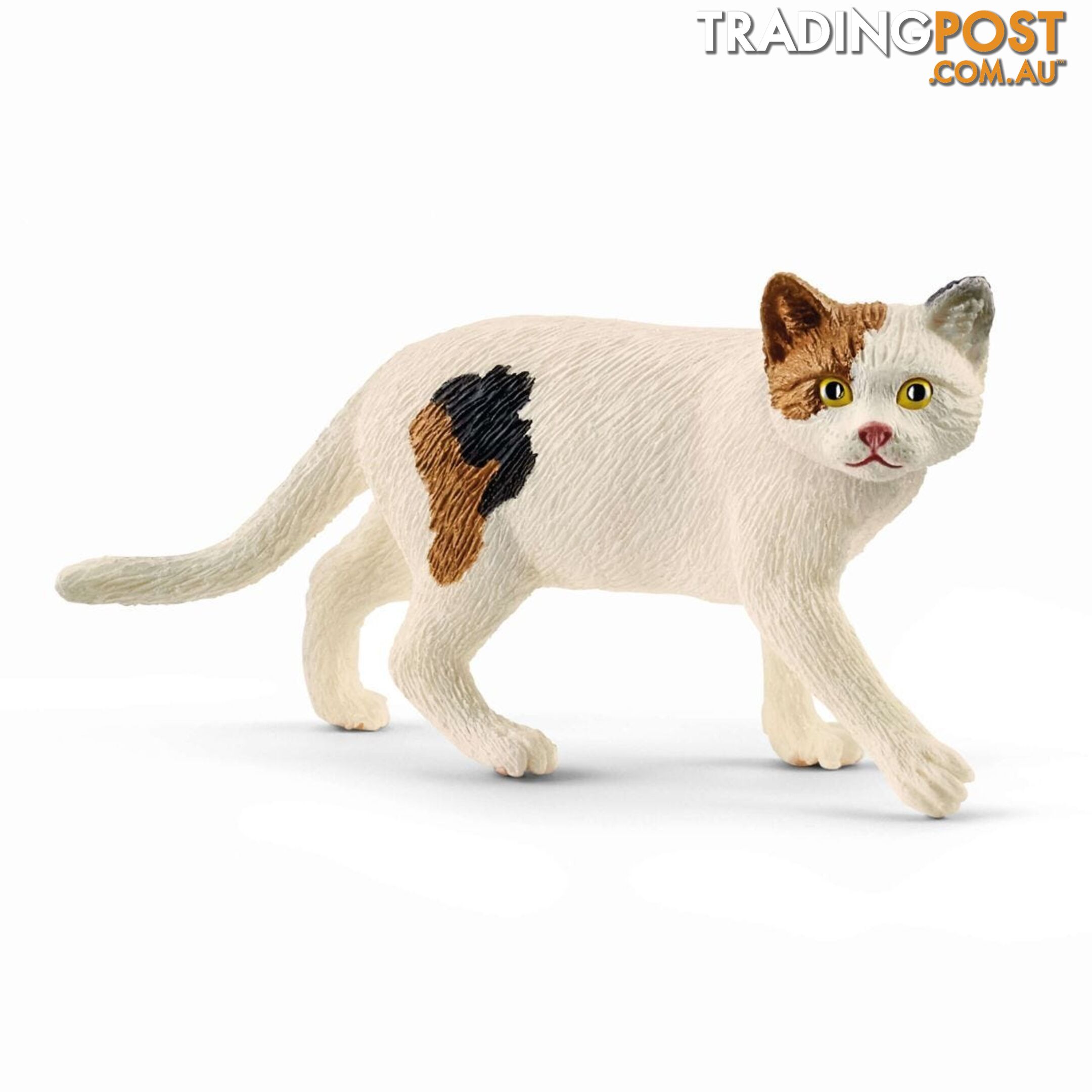 Schleich - American Shorthair Cat Sc13894 - 4059433012902