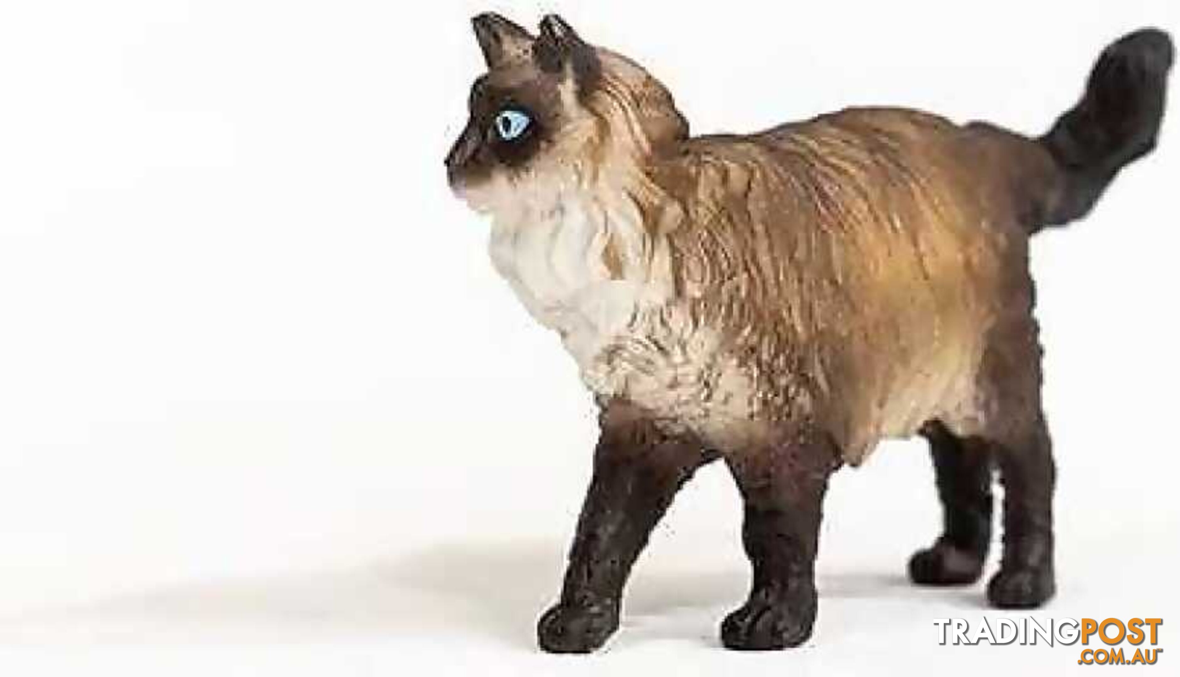 Schleich - Ragdoll Cat - Mdsc13940 - 4059433363226