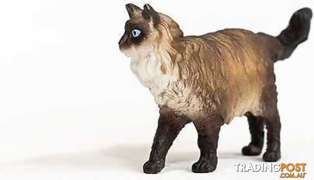 Schleich - Ragdoll Cat - Mdsc13940 - 4059433363226