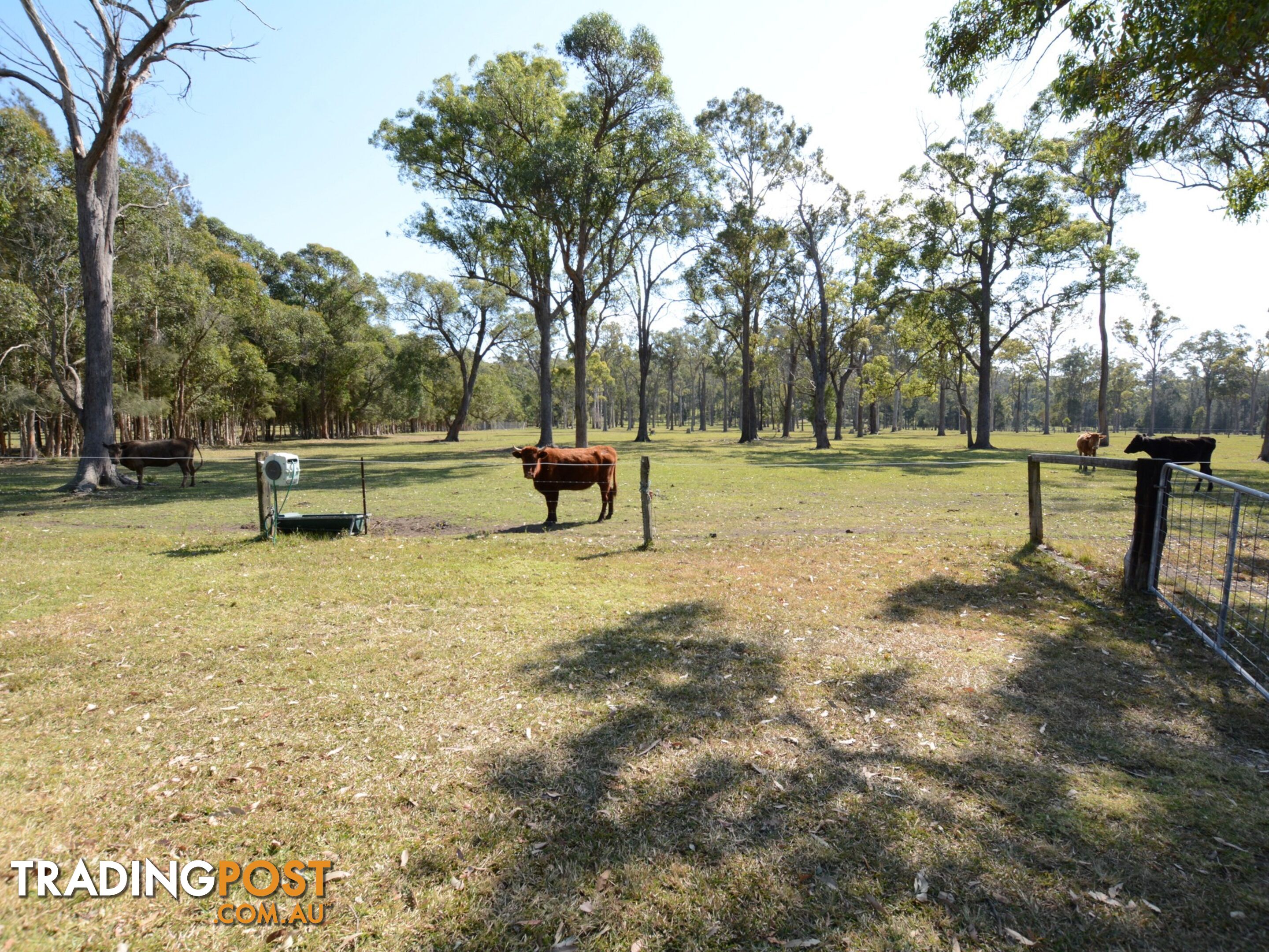 633 Manning Point Road OXLEY ISLAND NSW 2430