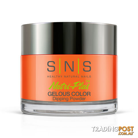 SNS #010 Gelous Dipping Powder 28g (1oz) Youre My Pumpkin Pie