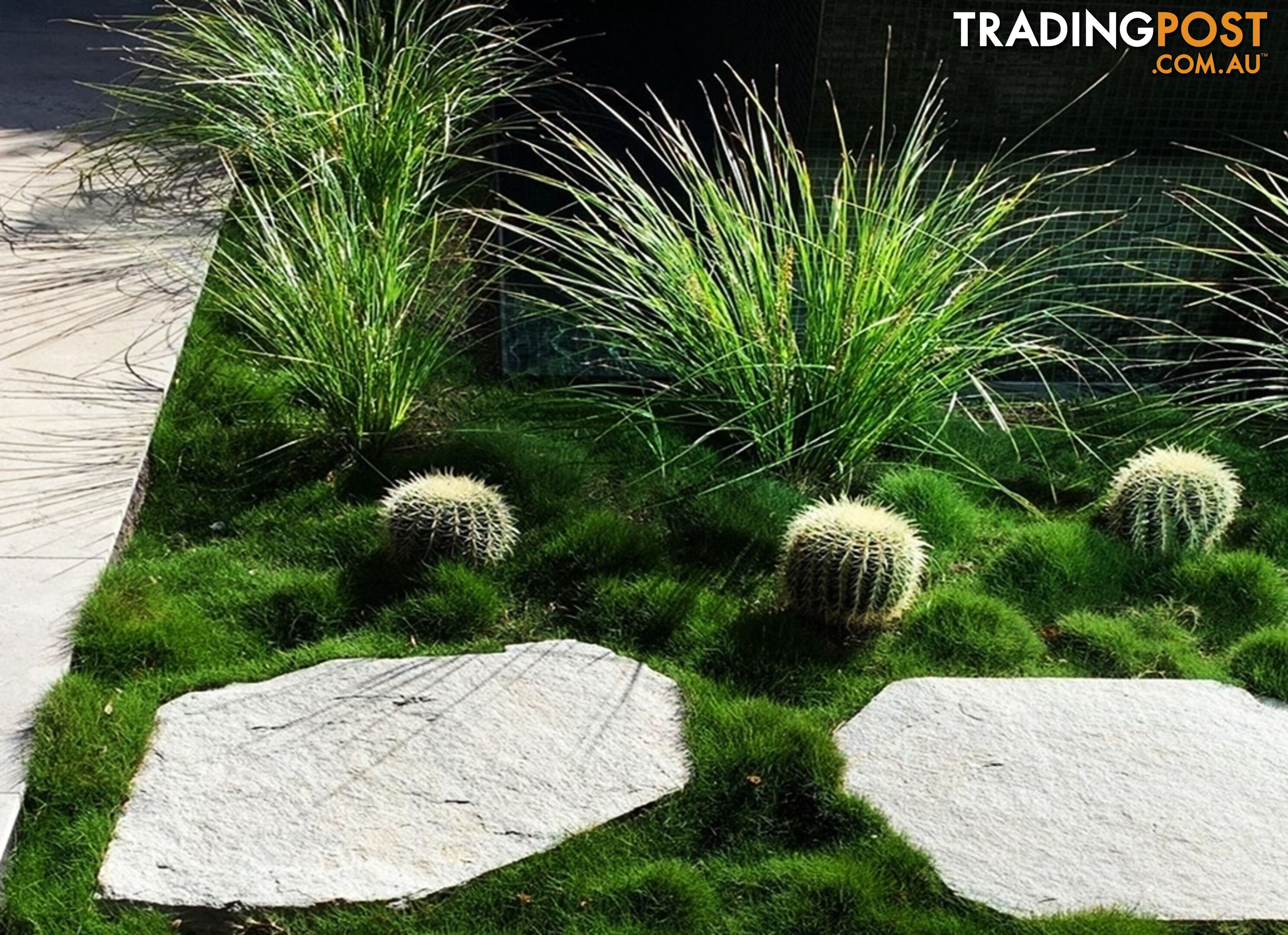 Slabs Of Korean Grass (Zoysia Tenuifolia) 350mm X 295mm Free Post $68.00