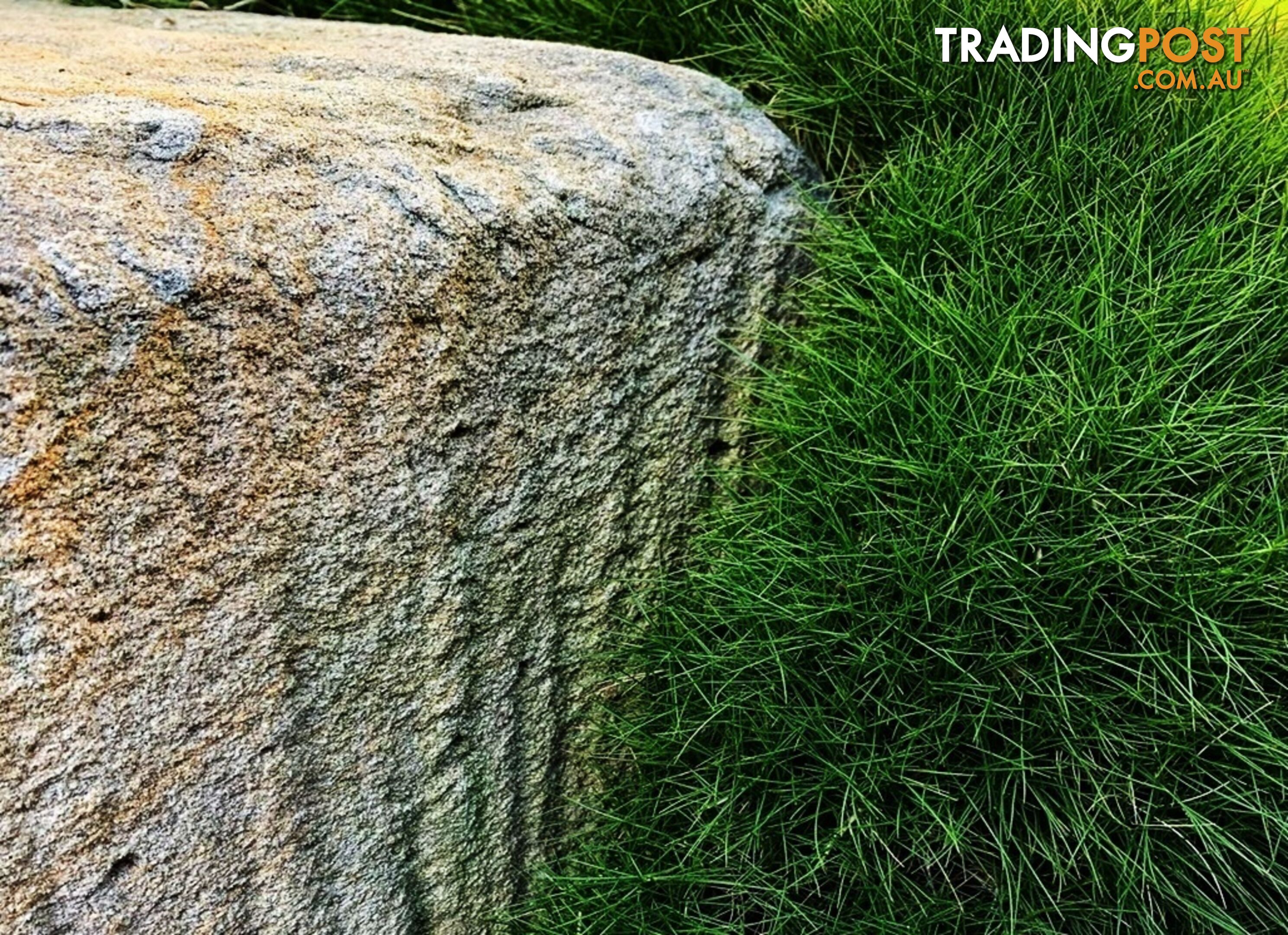 Slabs Of Korean Grass (Zoysia Tenuifolia) 350mm X 295mm Free Post $68.00