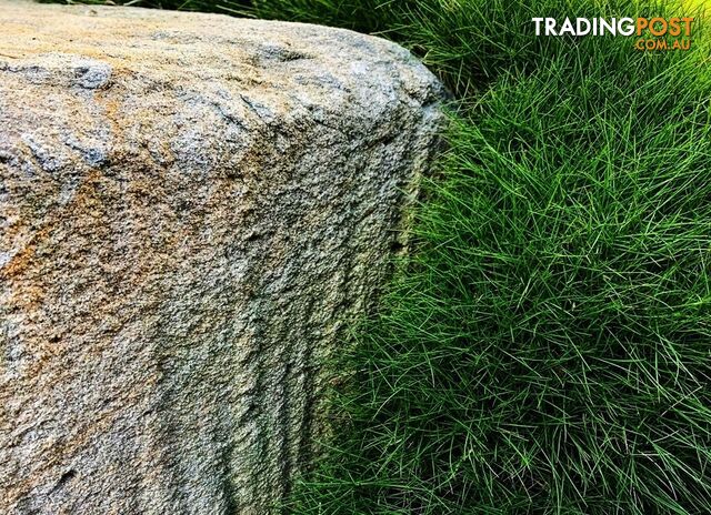 Slabs Of Korean Grass (Zoysia Tenuifolia) 350mm X 295mm Free Post $68.00