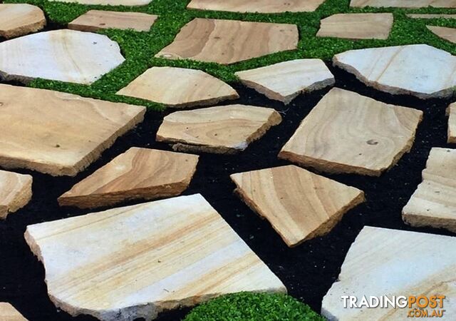 Dichondra Repens Living Mulch Trays - No Mow Lawn - Free Courier Delivery