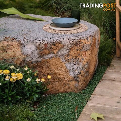Dichondra Repens Tiny Delight Trays No Mow Lawn - Including Free Delivery.
