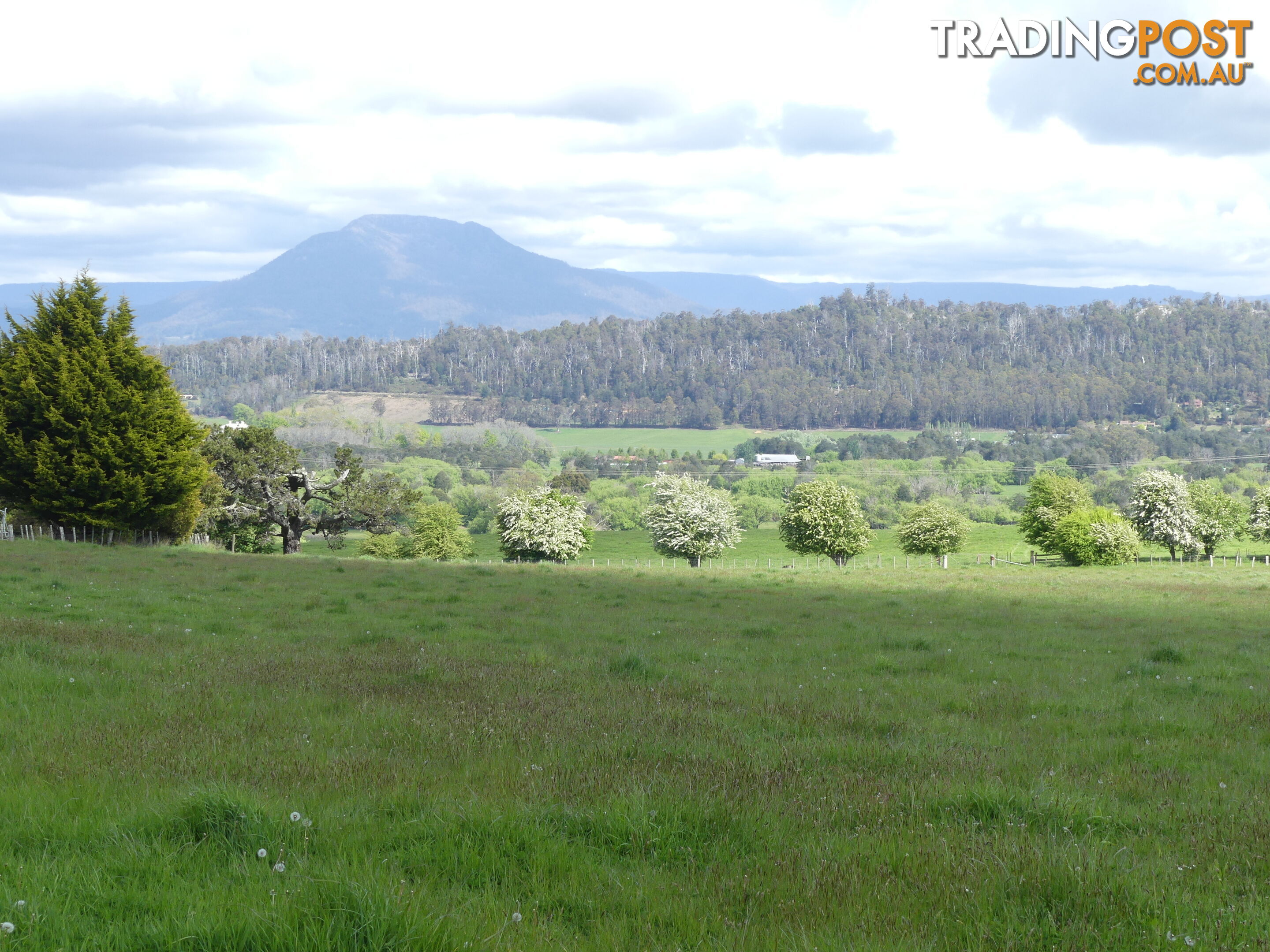 156 Emu Bay Rd Deloraine TAS 7304