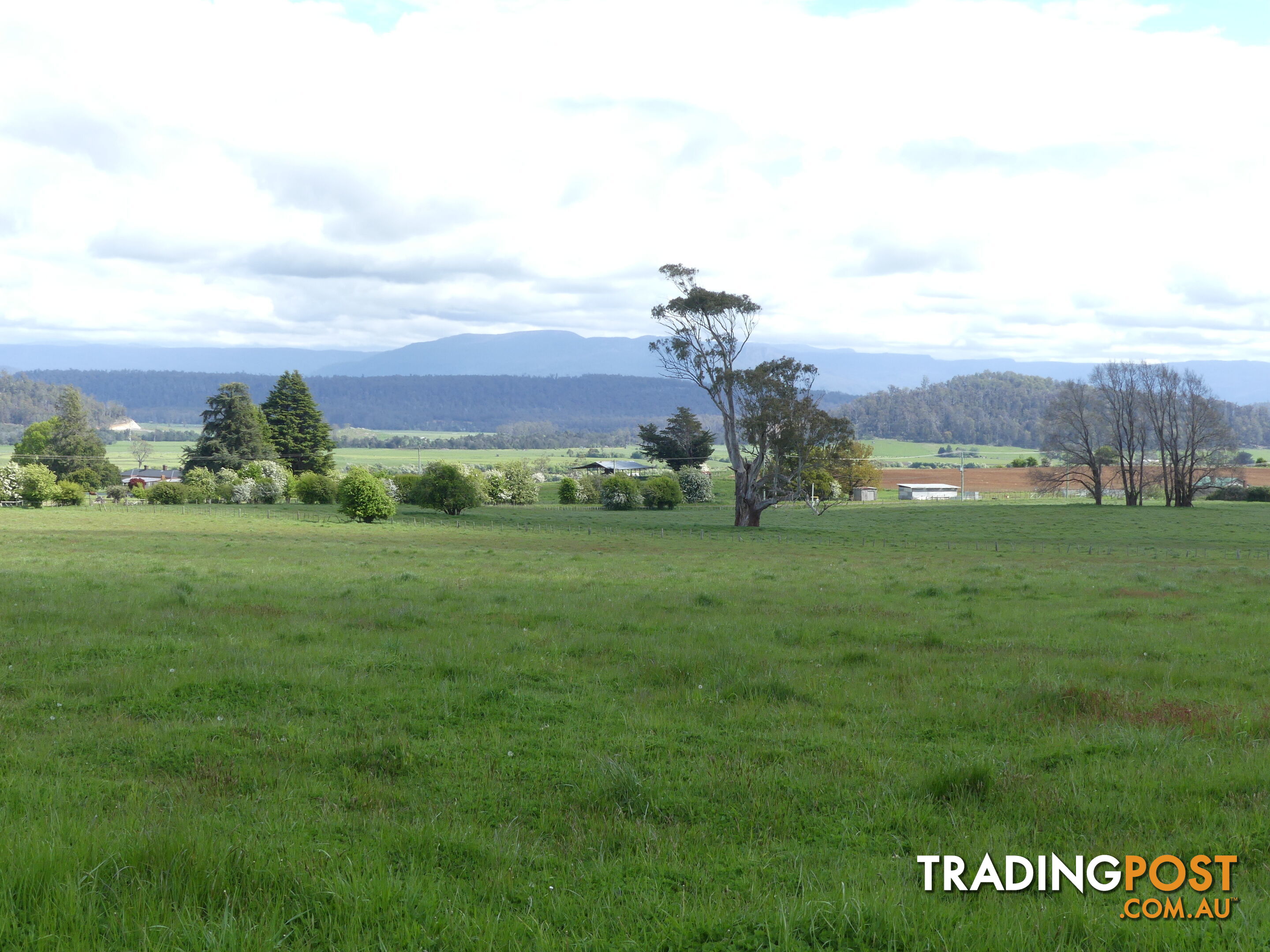 156 Emu Bay Rd Deloraine TAS 7304