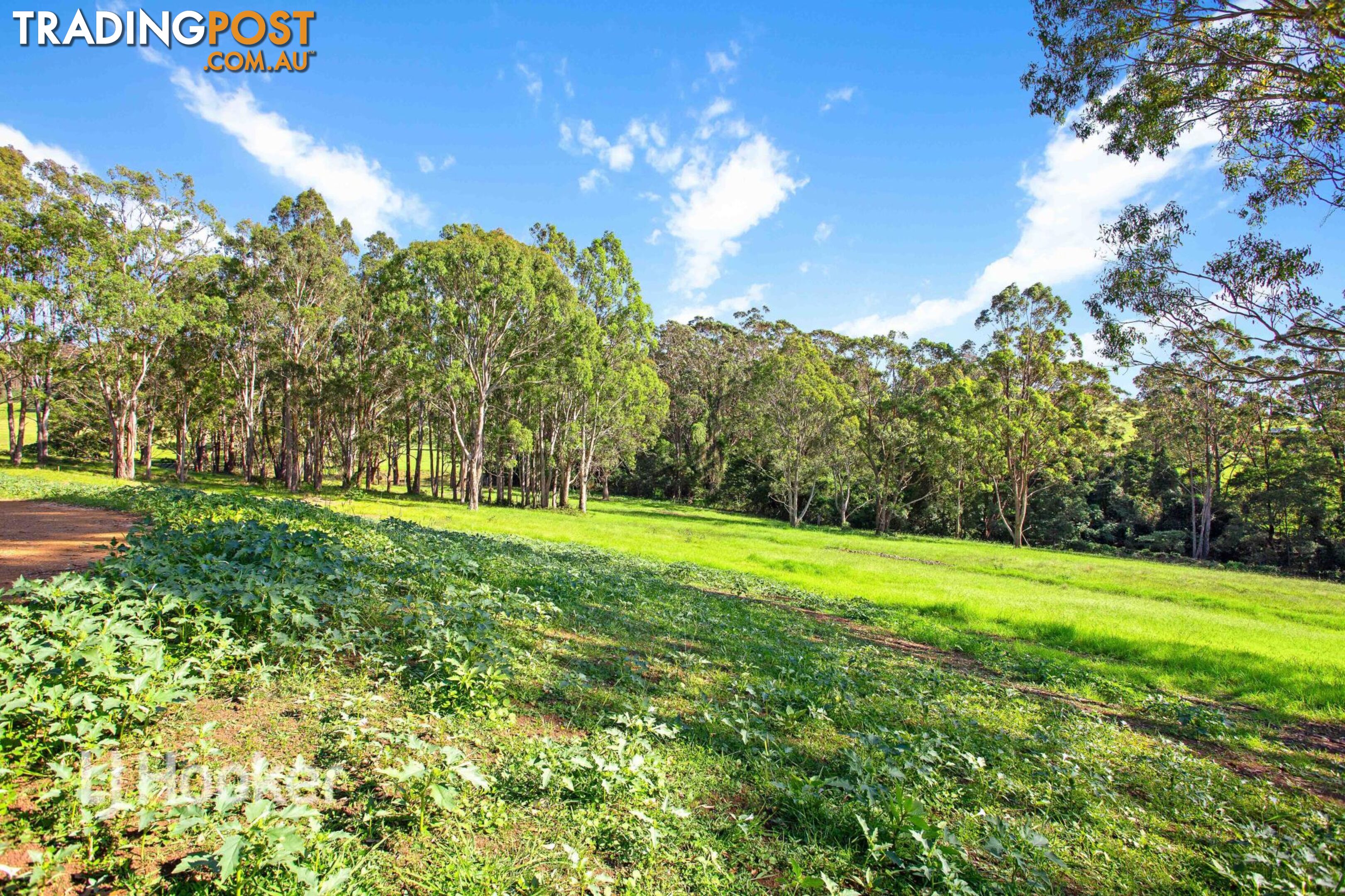 Lot 4/82 Wagonga Scenic Drive NAROOMA NSW 2546