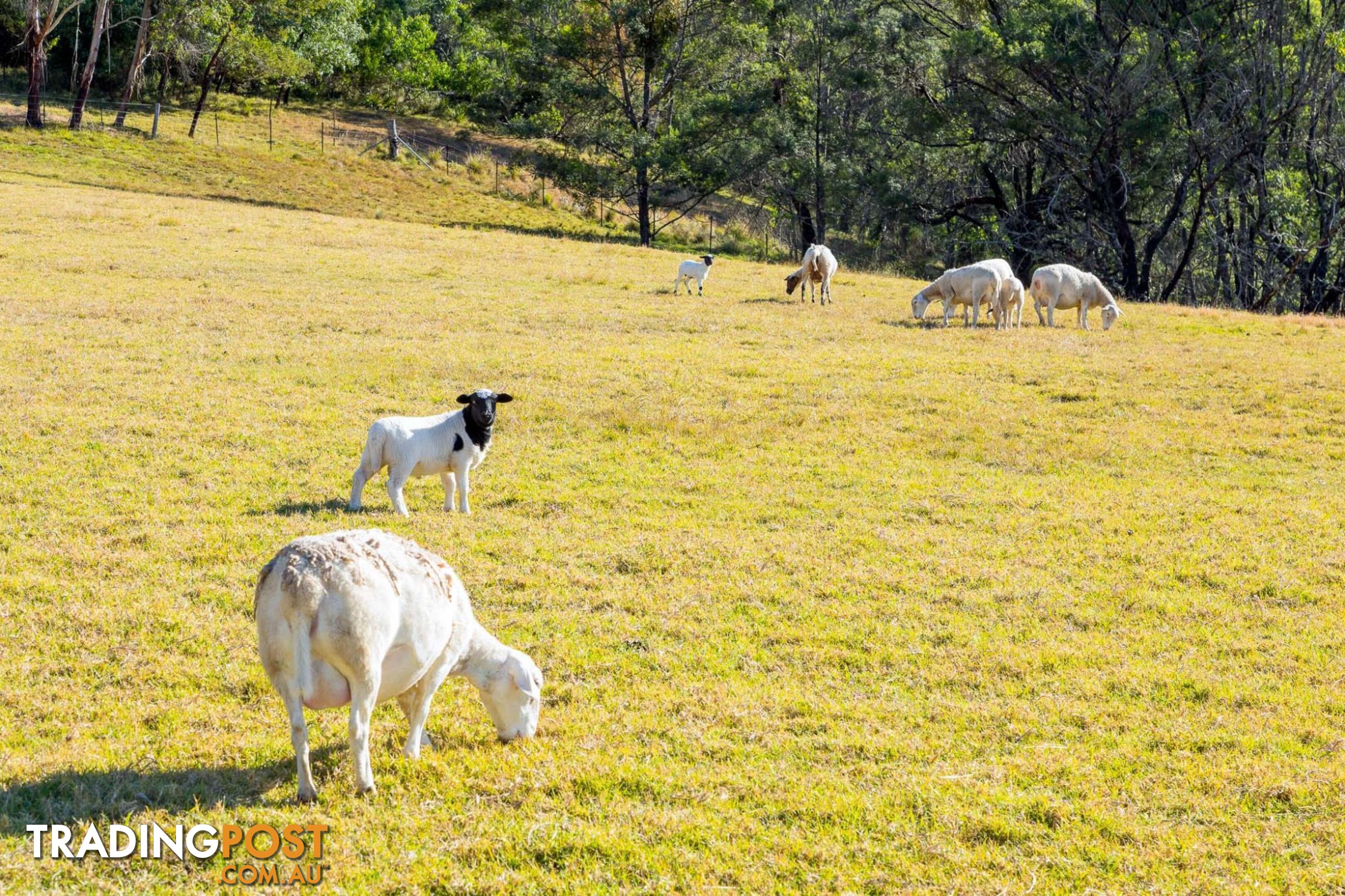 184 Barrabaroo Road COBARGO NSW 2550