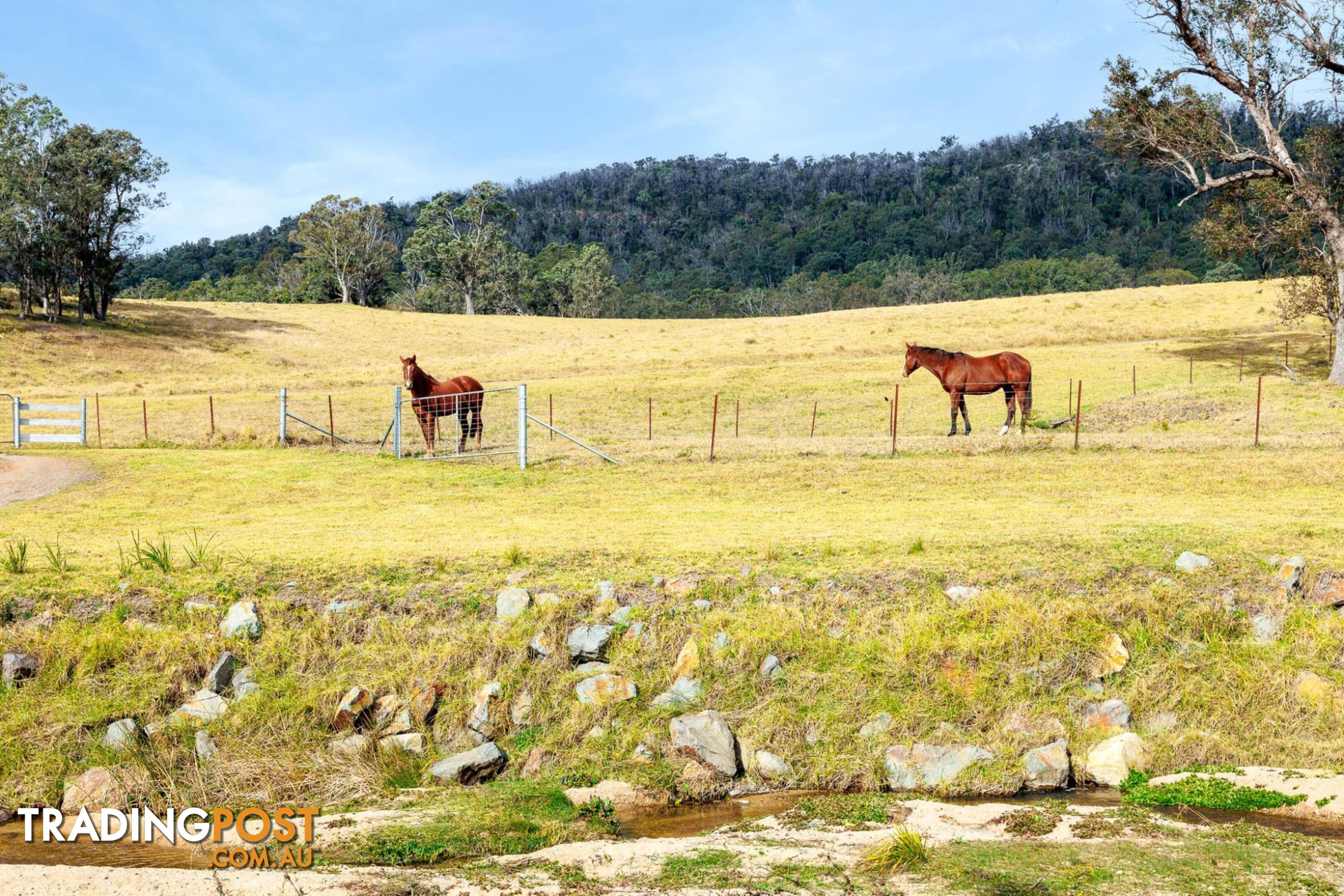 184 Barrabaroo Road COBARGO NSW 2550