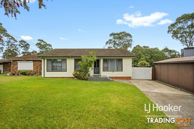 3 Warner Place GREYSTANES NSW 2145