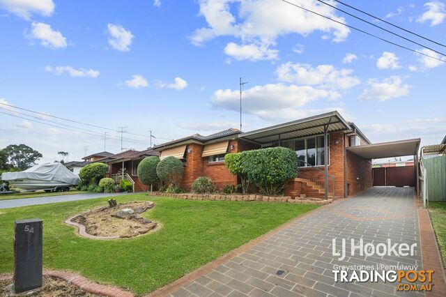 54 Munro Street GREYSTANES NSW 2145