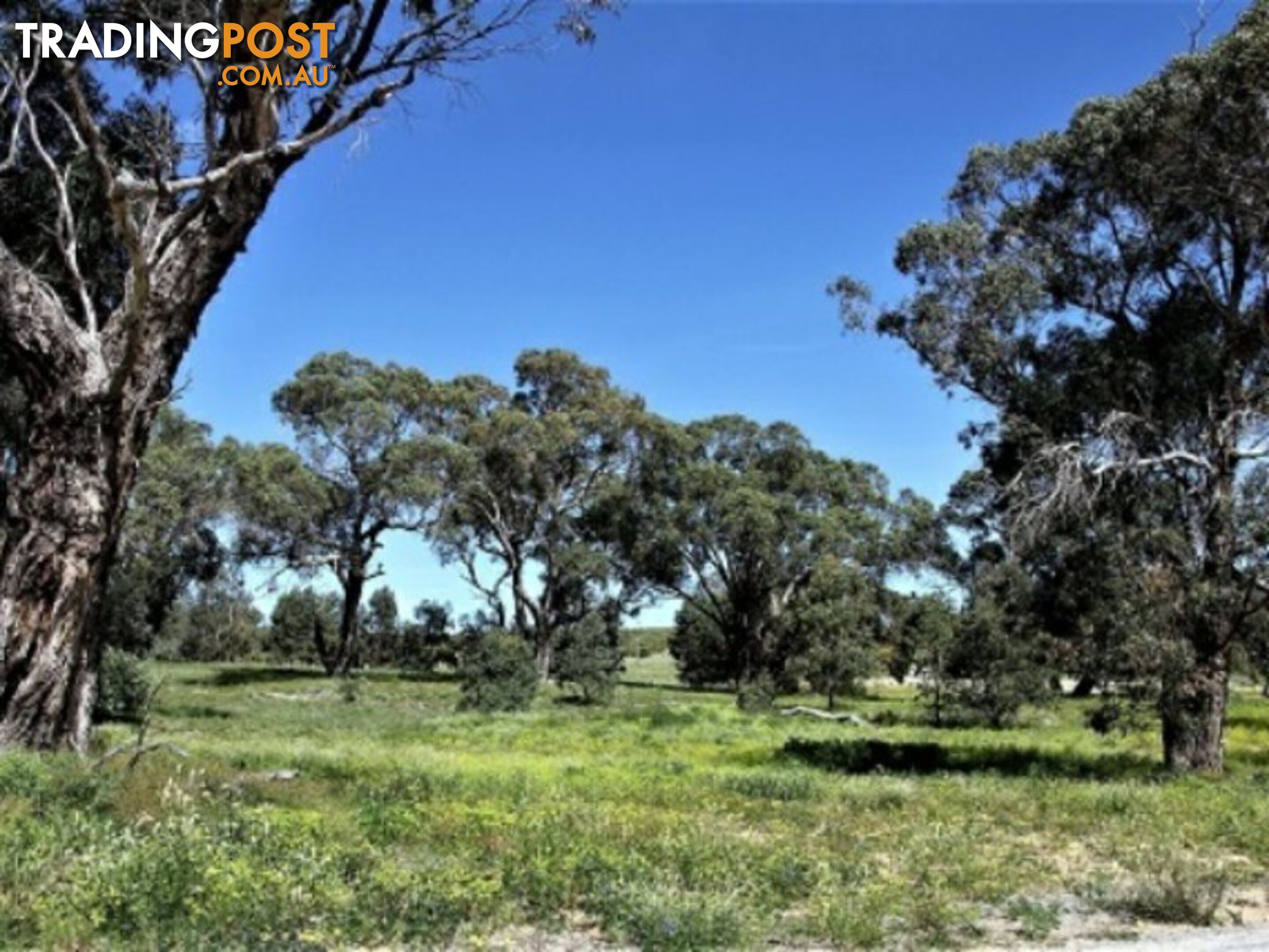 Lot 115 Cinnamon Meander TWO ROCKS WA 6037