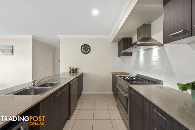 53 Wimmera Crescent UPPER COOMERA QLD 4209