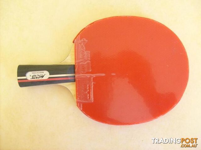 professionl chinese penholder table tennis bat(2)