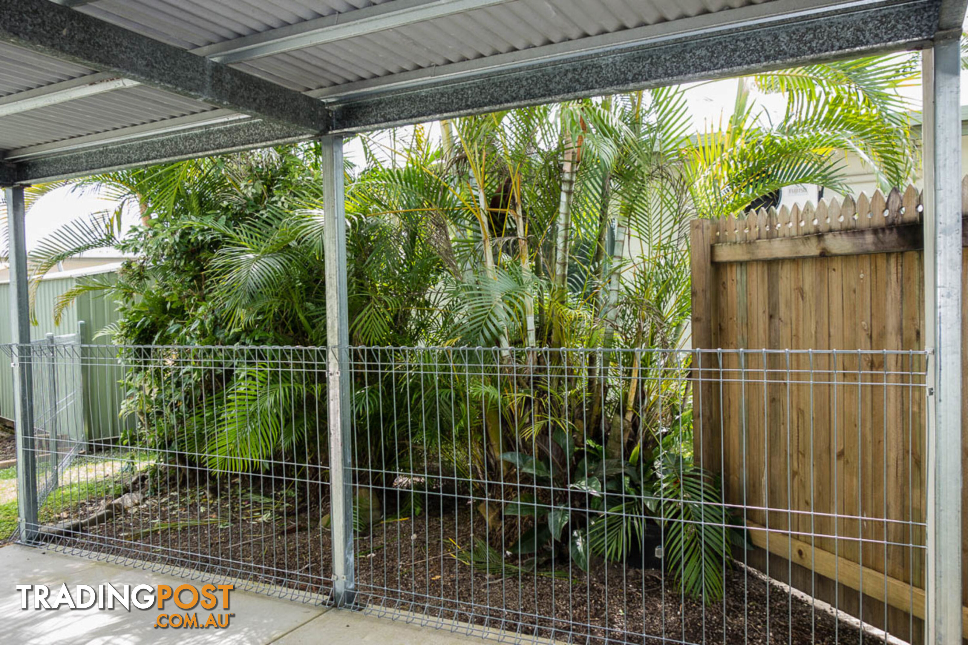 1 59 Golden Grove Drive Bentley Park QLD 4869