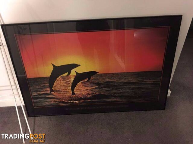 Large dolphin framed print