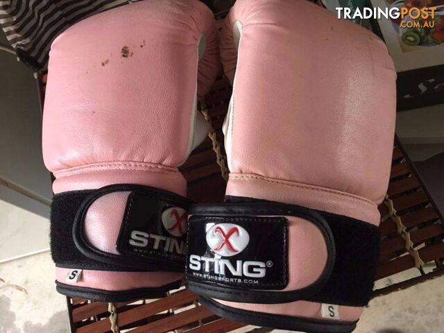 Sting boxing gloves