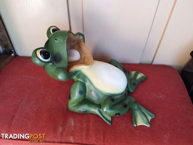 Jolly green frog - photo 4 of 4