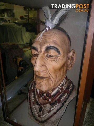 beautiful over size native Indian head in a glass case - photo 4 of 5