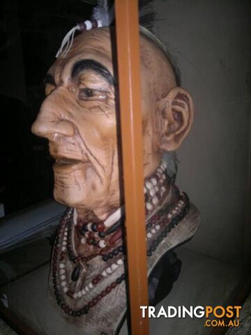 beautiful over size native Indian head in a glass case - photo 3 of 5