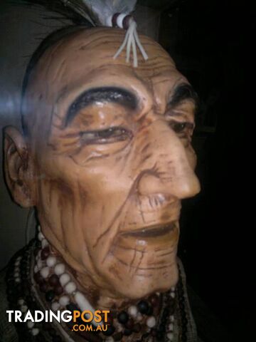 beautiful over size native Indian head in a glass case - photo 5 of 5
