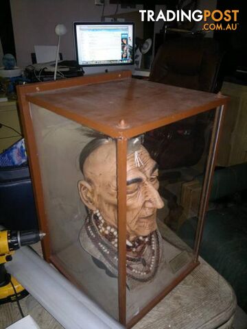 beautiful over size native Indian head in a glass case - photo 2 of 5