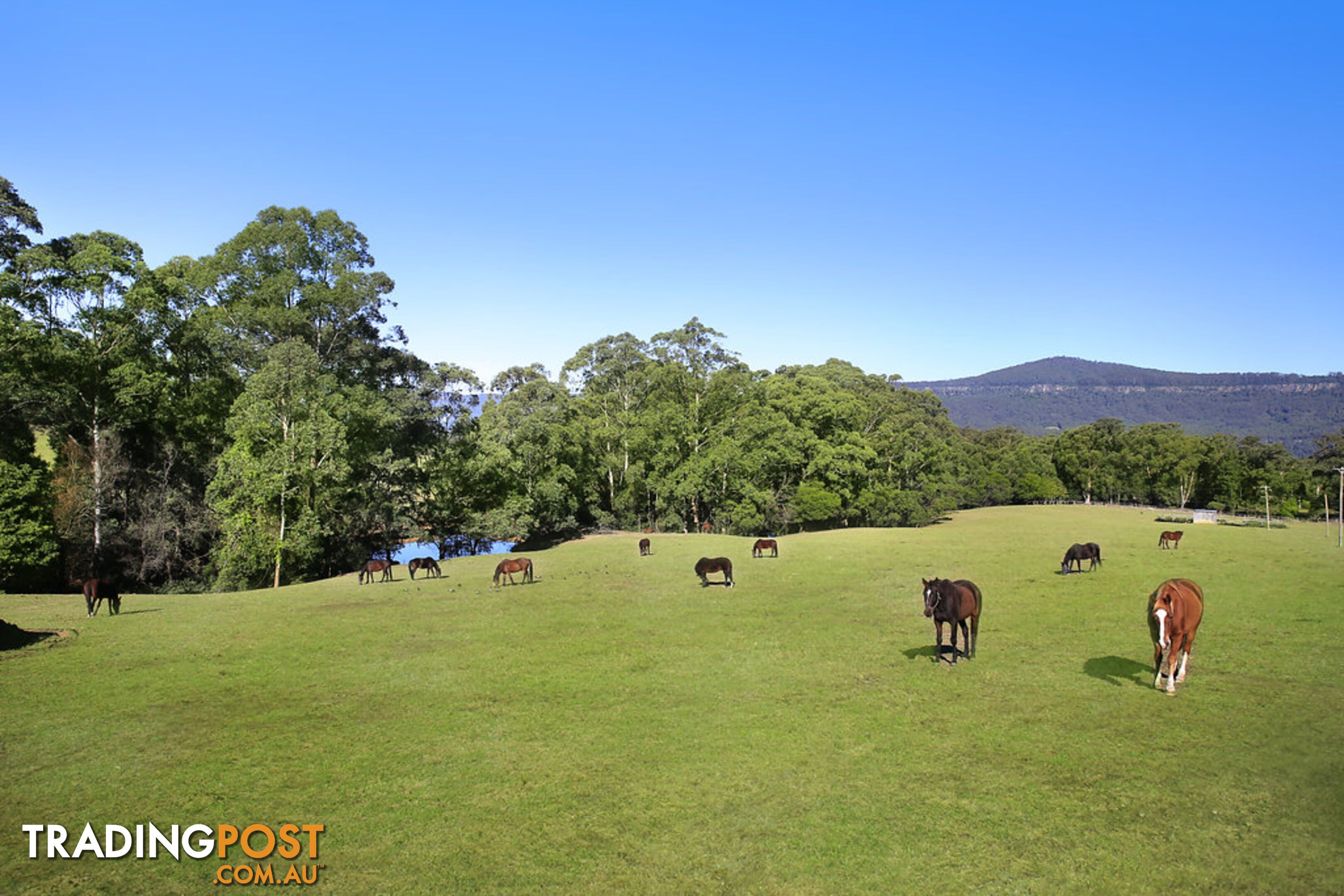 24 Hillcrest View Lane KANGAROO VALLEY NSW 2577