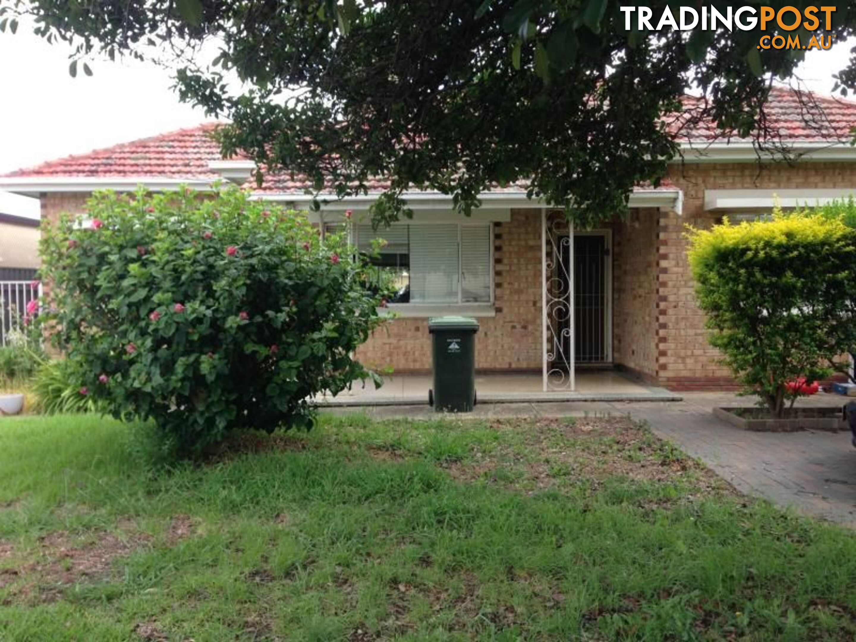 3 Brenton Avenue SOUTH PLYMPTON SA 5038