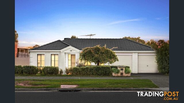 31 Hutchinson Drive LYNBROOK VIC 3975