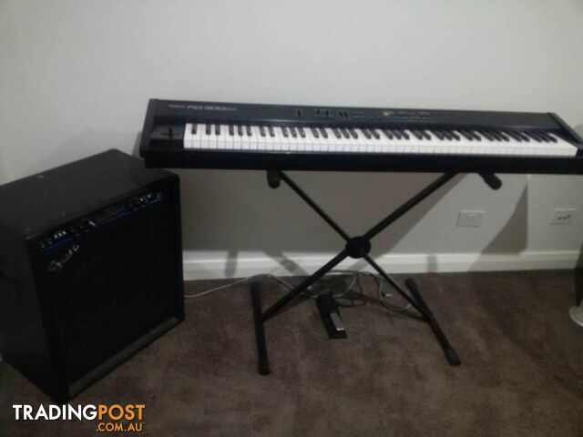 Wanted: SWAP or Trade Fender AMPLIFIER for DRUMS or GUITAR - photo 4 of 9