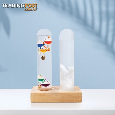 Dual Weather Station - Galileo Thermometer and Storm Glass Set