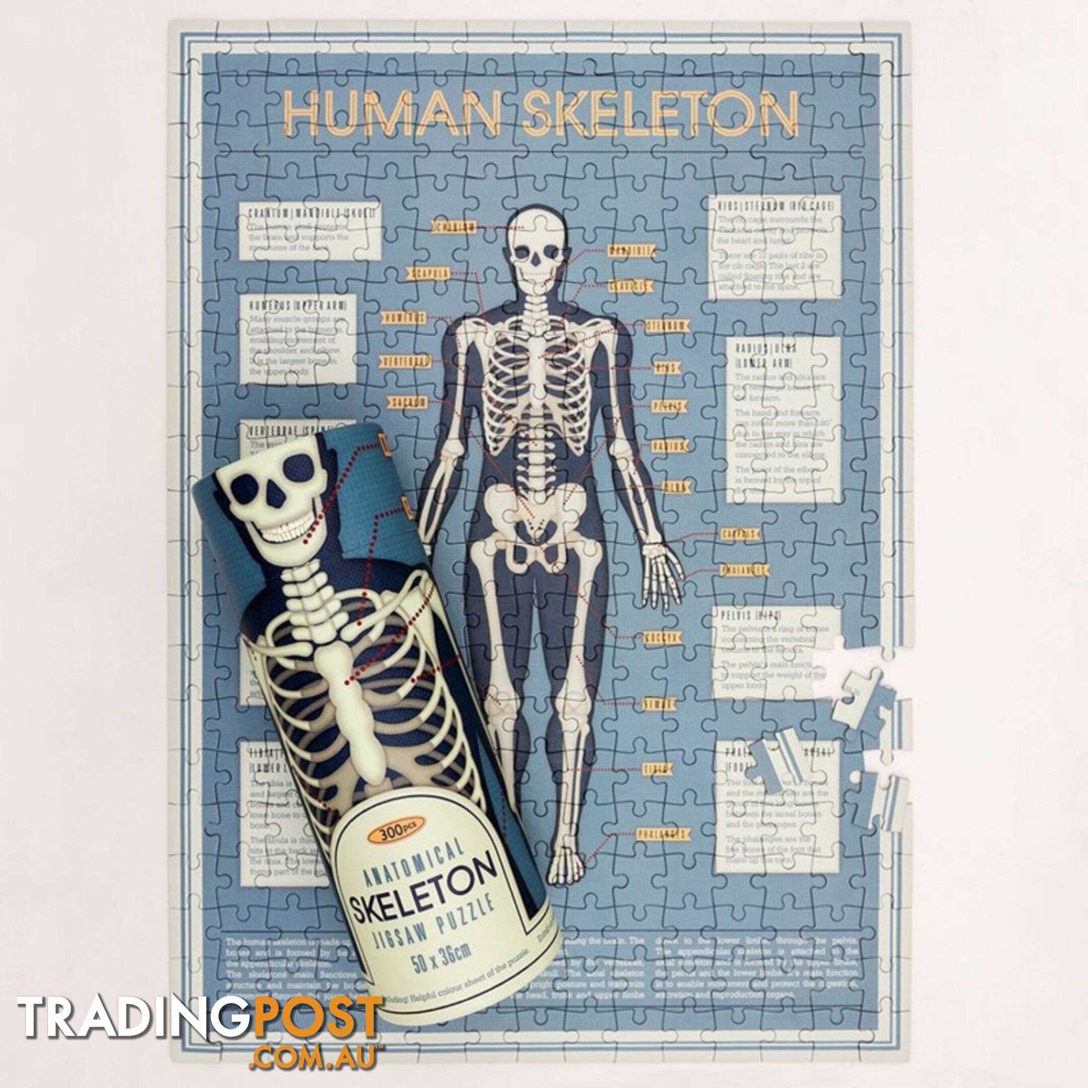 Skeleton 300 Pieces Puzzle In A Tube