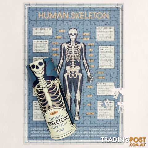 Skeleton 300 Pieces Puzzle In A Tube