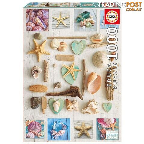 Seashells Collage 1000 Pieces Jigsaw Puzzle