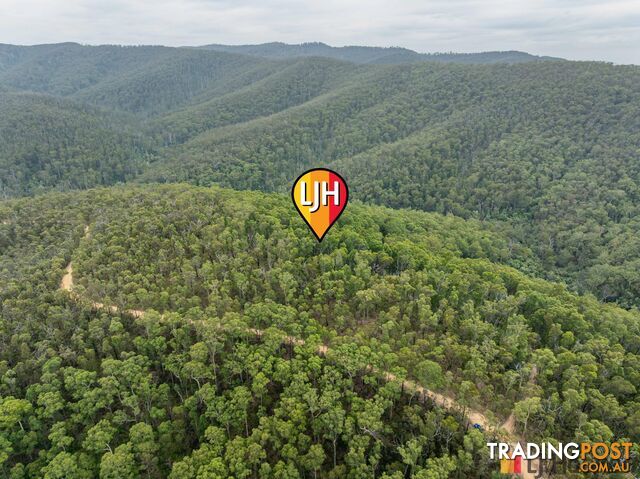 Lot 3 Pig Road CURROWAN NSW 2536