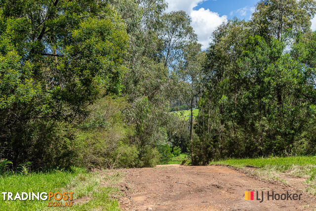 Lot 25 The River Road NELLIGEN NSW 2536