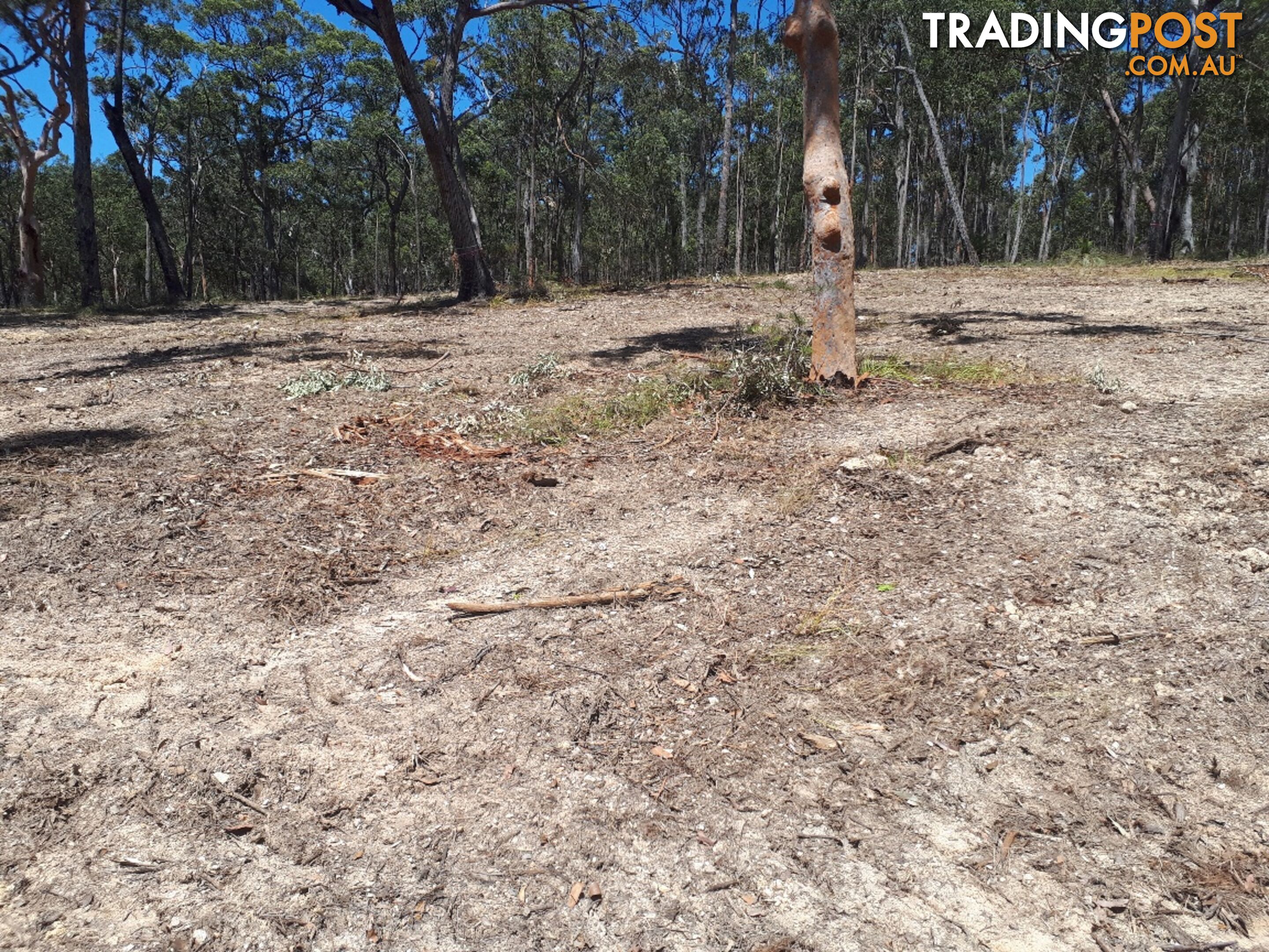 Lot 9 Wamban Road MORUYA NSW 2537