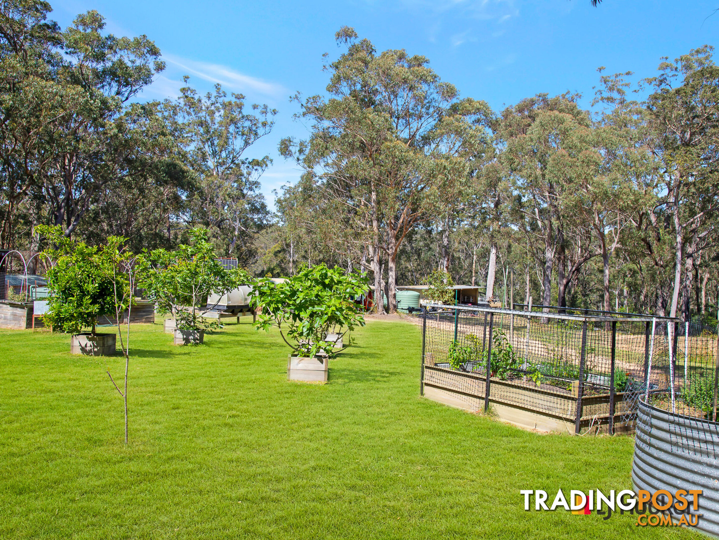 773 Windywoppa Road BENANDARAH NSW 2536