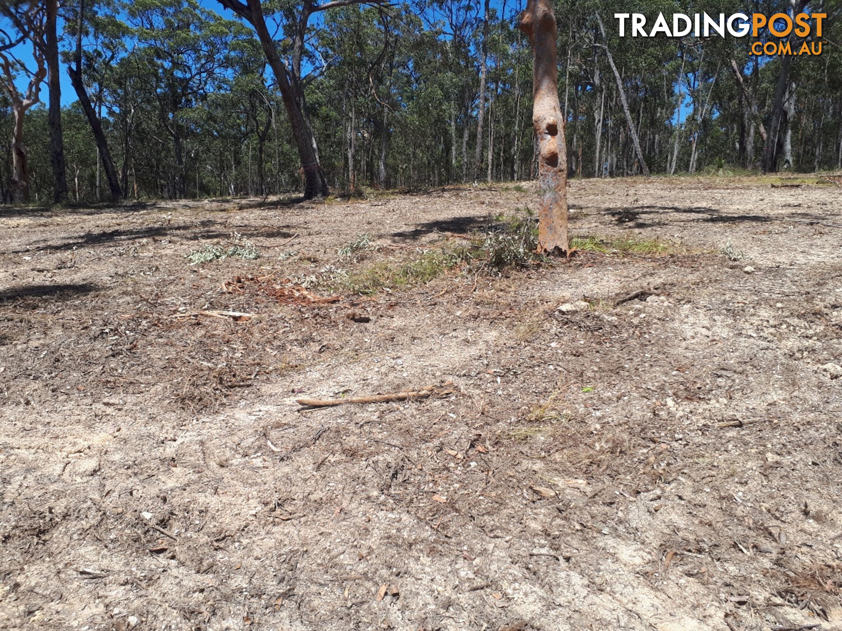 Lot 7 Wamban Road MORUYA NSW 2537