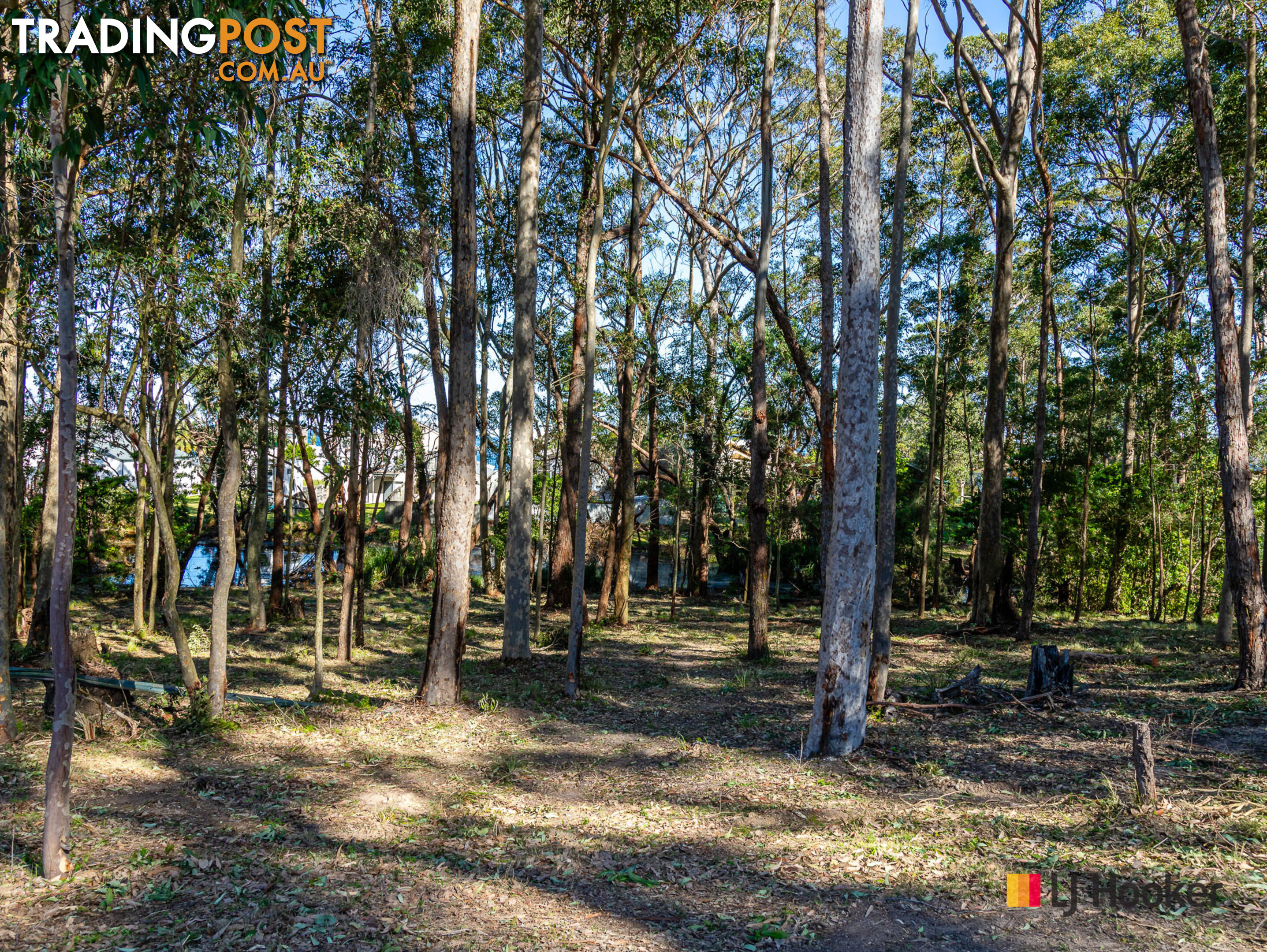 4 Gibraltar Way LONG BEACH NSW 2536