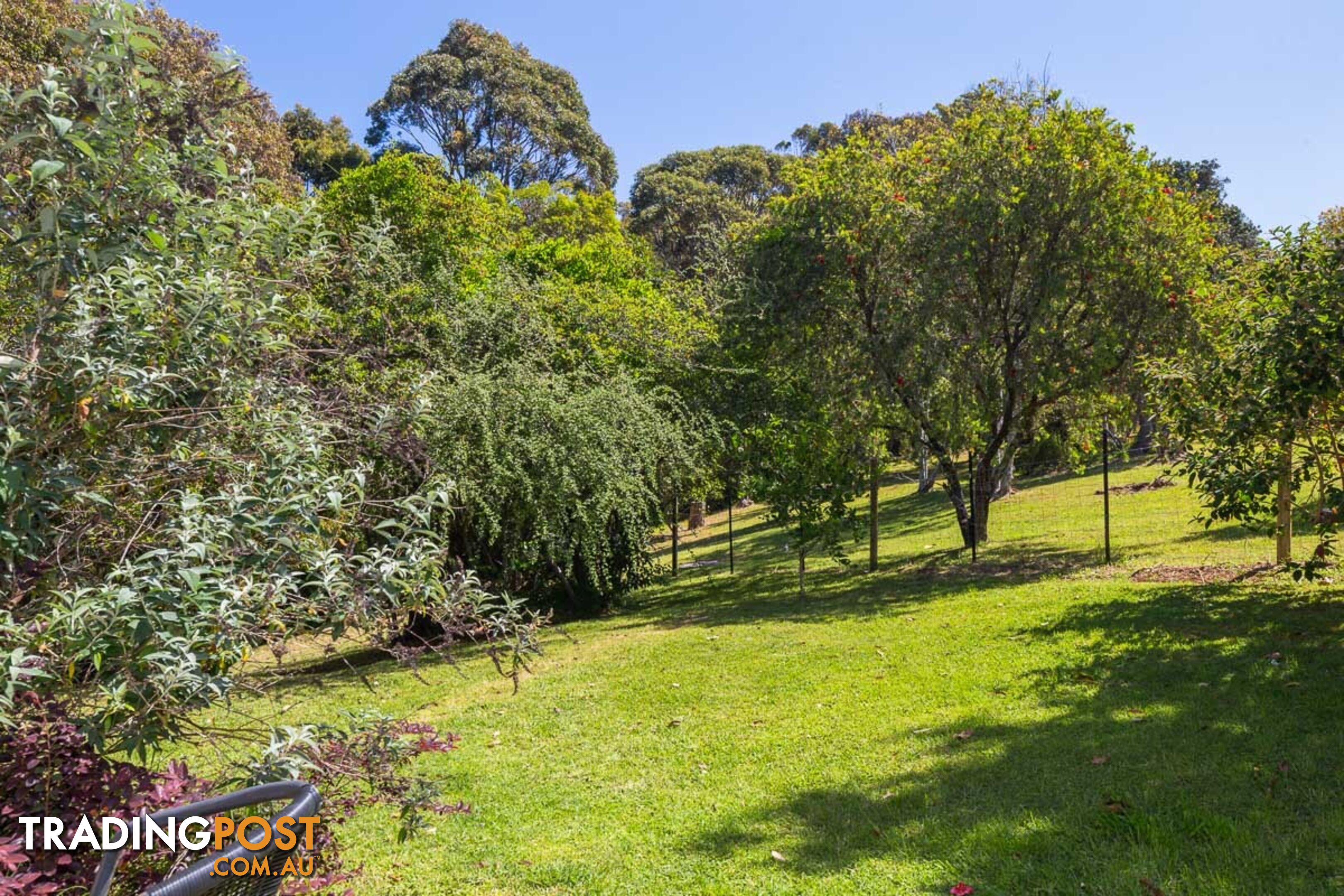 104 Tallawang Ave MALUA BAY NSW 2536