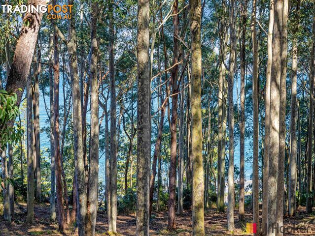 39 Northcove Road LONG BEACH NSW 2536 - photo 2 of 12