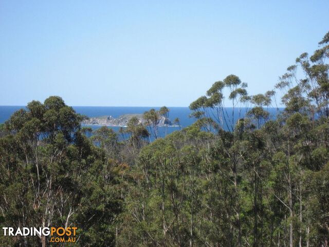 676 The Ridge Road MALUA BAY NSW 2536