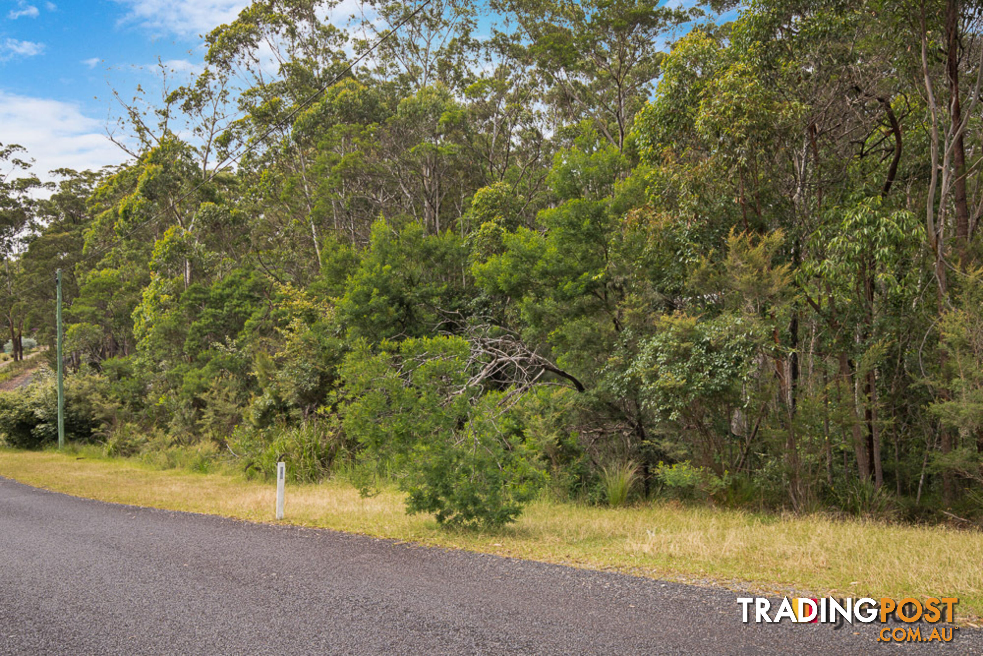 50 Tree Fern Place LONG BEACH NSW 2536