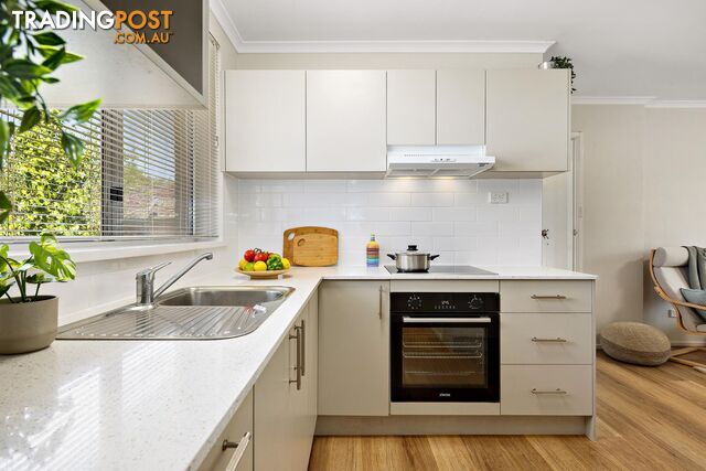 29/2-4 Clianthus Street O'CONNOR ACT 2602